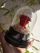 PERFUME COMPARTILHÁVEL | LATTAFA- PRIDE LAHDATH EAU DE PARFUM | 80ML