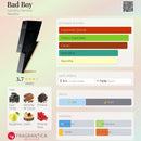 PERFUME MASCULINO | CAROLINA HERRERA – BAD BOY EAU DE TOILETTE | 100ML